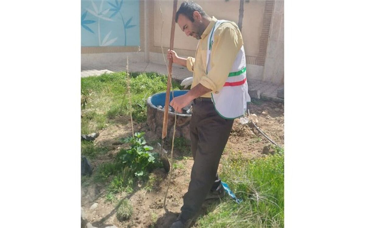 کاشت 30 اصله نهال در دبیرستان رضوان ناحیه یک قم