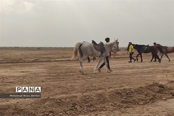 برگزاری اولین دوره مسابقات اسب‌سواری در شهرستان امیدیه
