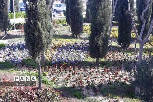 بهار نفسی تازه به طبیعت هدیه کرد