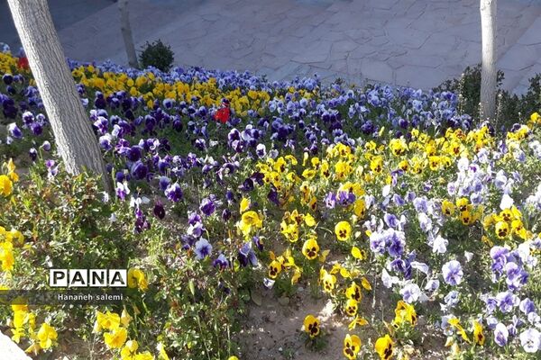 بهار نفسی تازه به طبیعت هدیه کرد