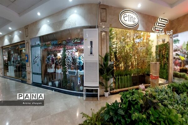 حال و هوای بازار گل و گیاه در بزرگراه بعثت