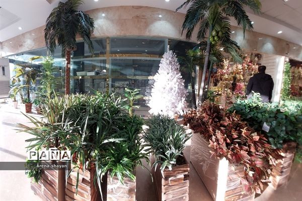 حال و هوای بازار گل و گیاه در بزرگراه بعثت