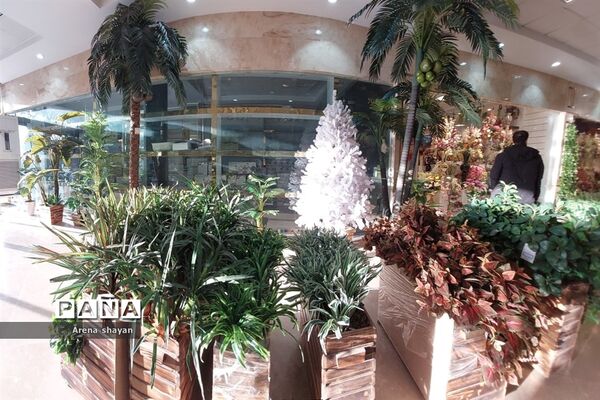 حال و هوای بازار گل و گیاه در بزرگراه بعثت