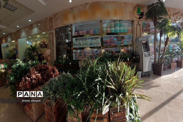 حال و هوای بازار گل و گیاه در بزرگراه بعثت