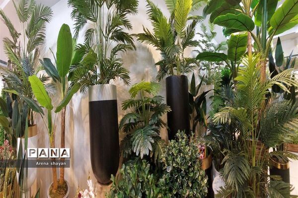 حال و هوای بازار گل و گیاه در بزرگراه بعثت