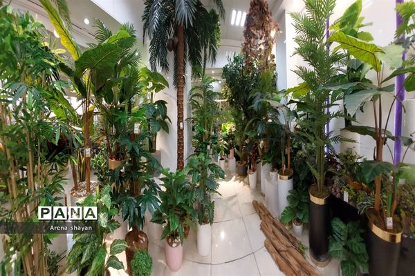 حال و هوای بازار گل و گیاه در بزرگراه بعثت