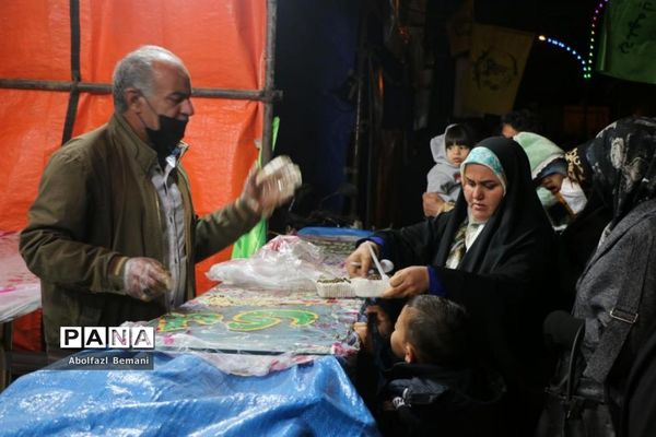 جلوه‌های شادی و نشاط در مسیر پیاده‌روی مسجد مقدس جمکران-2