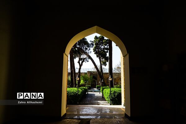 دارالفنون