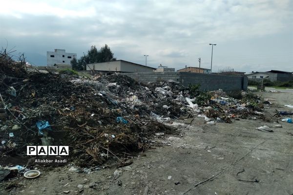 روئیدن زباله در کنار سبزه‌زار بهار