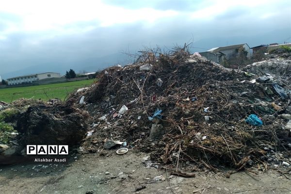 روئیدن زباله در کنار سبزه‌زار بهار
