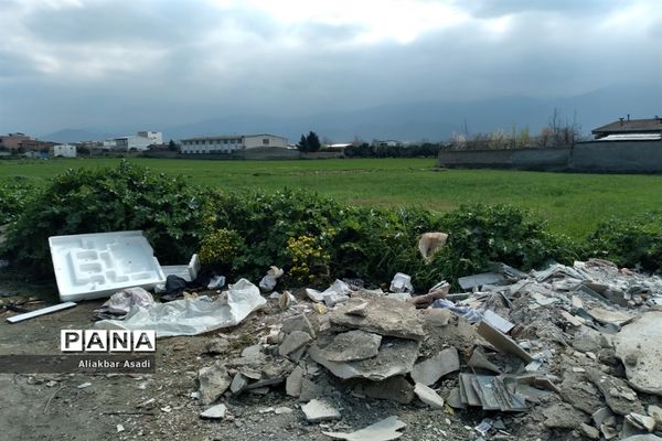 روئیدن زباله در کنار سبزه‌زار بهار