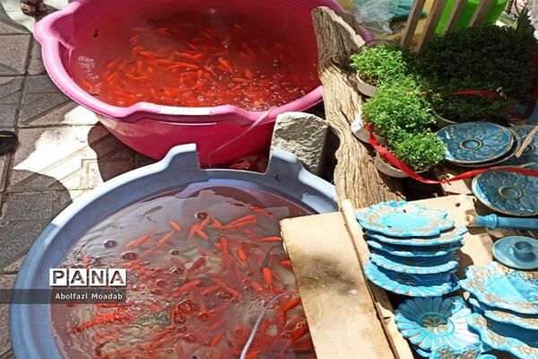 استقبال از بهار و عید نوروز در کاشمر
