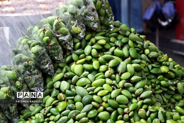 استقبال از نوروز در ساری