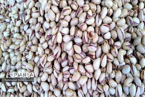 بازارچه‌های نوروزی شهر تهران