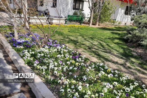برپایی ایستگاه استقبال از مسافران نوروزی در منطقه ۱۵