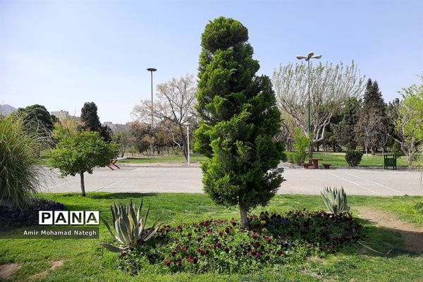 برپایی ایستگاه استقبال از مسافران نوروزی در منطقه ۱۵