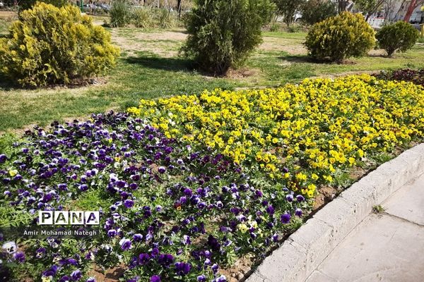 برپایی ایستگاه استقبال از مسافران نوروزی در منطقه ۱۵