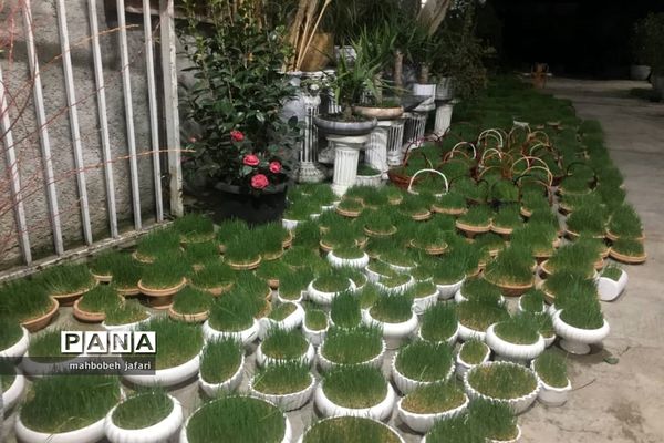 ساری به پیشواز نوروز می‌رود