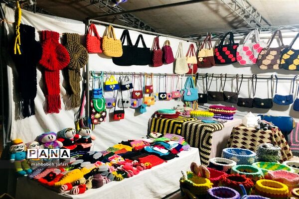 برپایی غرفه‌های فروش صنایع دستی در ساری