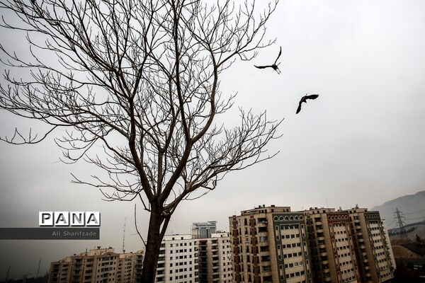 عکس‌های منتخب سال 1400 خبرگزاری پانا