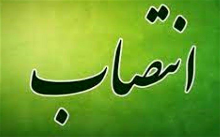 مسئول کمیته موقت عمران و توسعه زیرساخت فدراسیون فوتبال منصوب شد