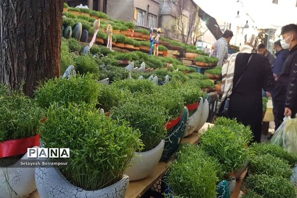 تکاپوی خرید شب عید در شهر تهران