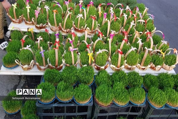 تکاپوی خرید شب عید در شهر تهران