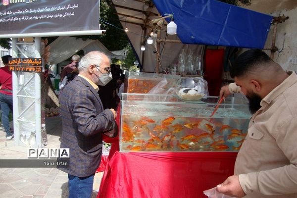 استقبال مردم بوشهر از عید نوروز