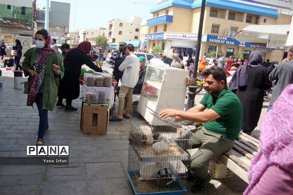 استقبال مردم بوشهر از عید نوروز