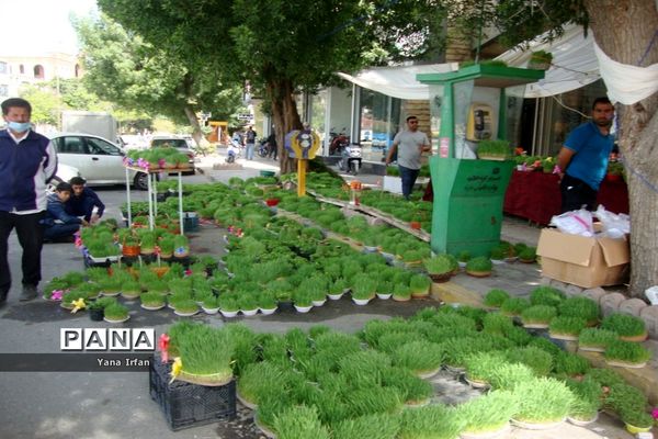 استقبال مردم بوشهر از عید نوروز