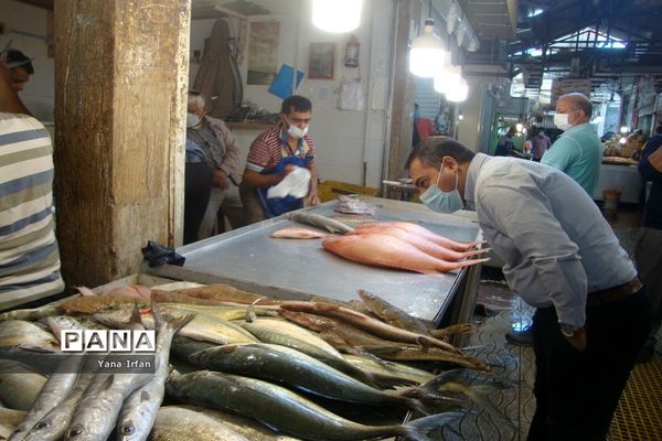 استقبال مردم بوشهر از عید نوروز
