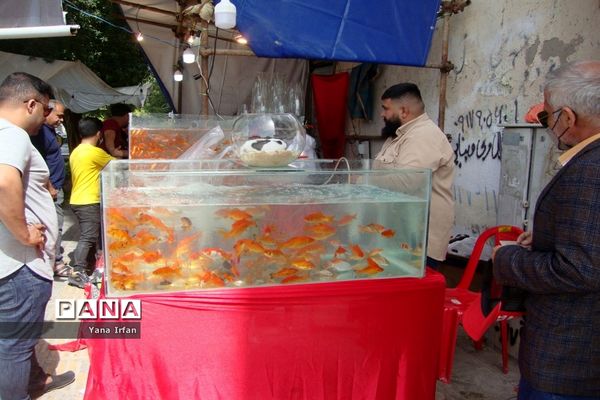 استقبال مردم بوشهر از عید نوروز