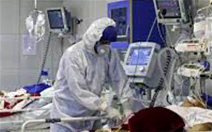 بستری ۵۰ بیمار در بیمارستان‌های استان بوشهر