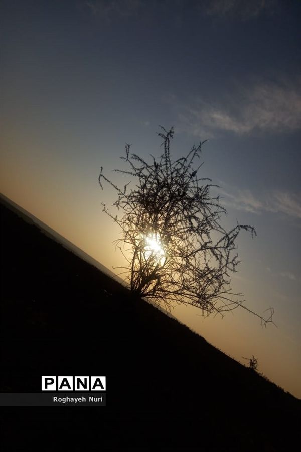 فصل بهار در چابهار