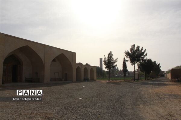 فضای زیبای باغ دولت‌آباد یزد در ایام نوروز