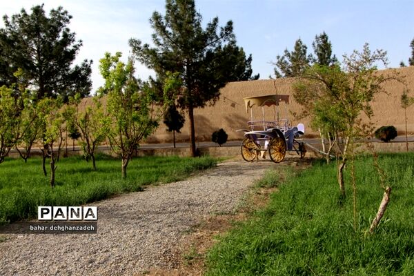 فضای زیبای باغ دولت‌آباد یزد در ایام نوروز