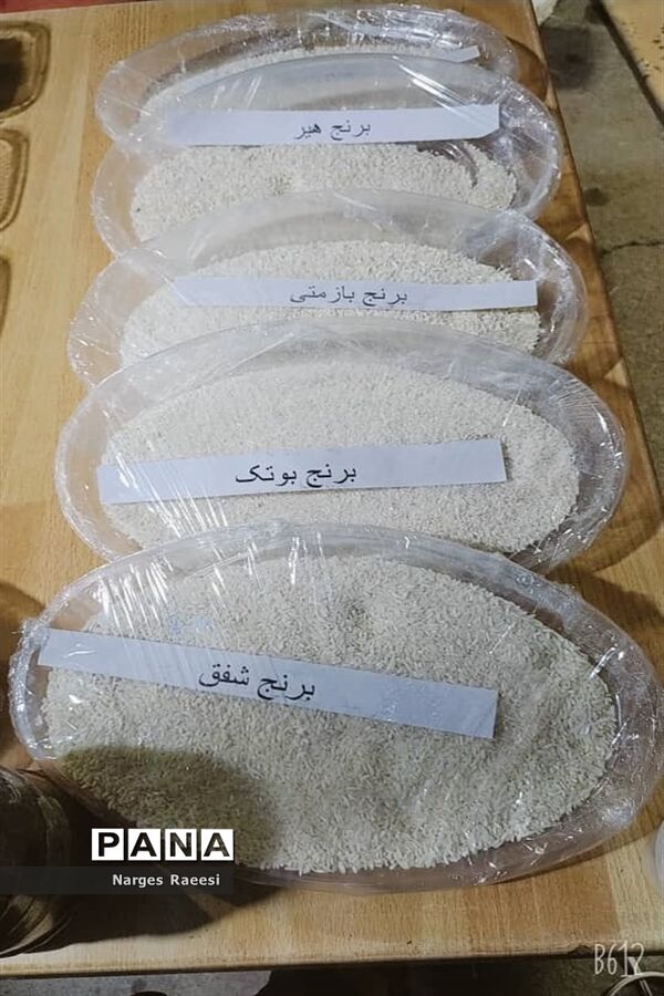 استقبال از مسافران نوروزی در قصرقند