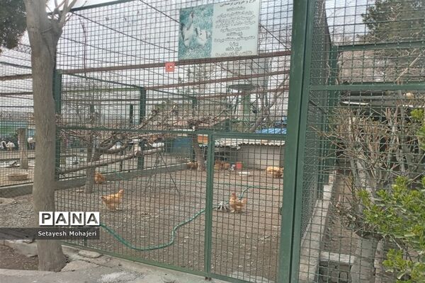 استقبال مسافران نوروزی از باغ وحش وکیل آباد مشهد
