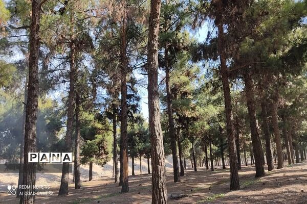 جاذبه‌های گردشگری حمیدیه