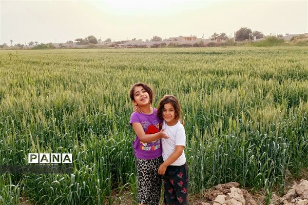 جاذبه‌های گردشگری حمیدیه