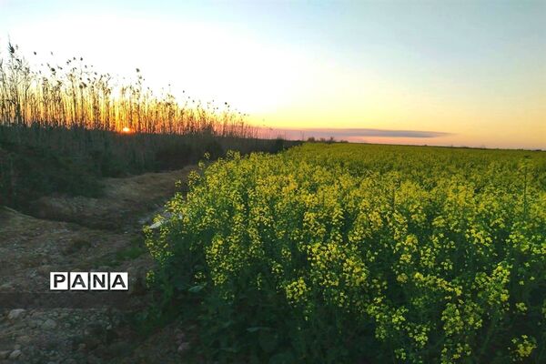 جاذبه‌های گردشگری حمیدیه