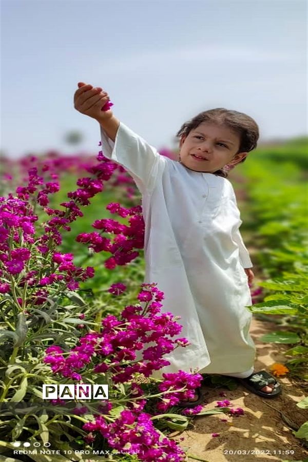 جاذبه‌های گردشگری حمیدیه