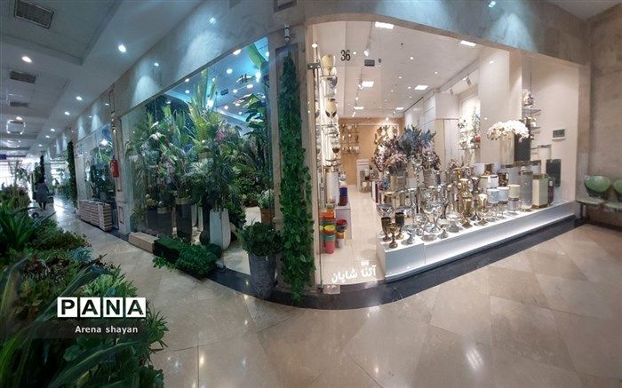 5 گیاهی که با گذاشتن در یک لیوان آب رشد می‌کنند