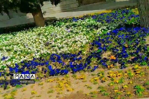 مسافران و گردشگران نوروزی در اصفهان