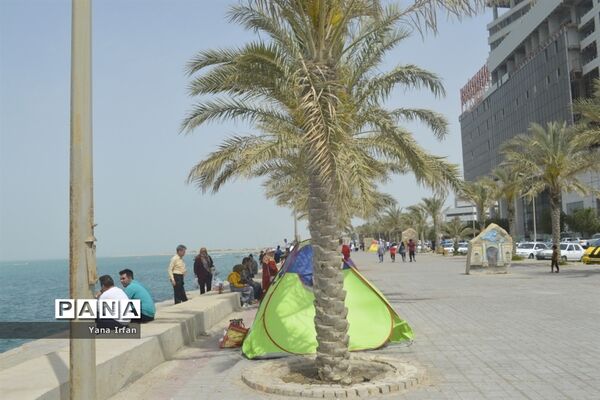 گردشگران نوروزی در سواحل زیبای بوشهر