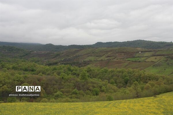 بهار طبیعت در گلوگاه