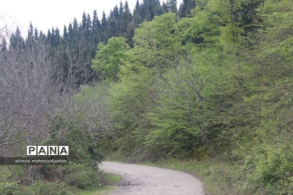 بهار طبیعت در گلوگاه
