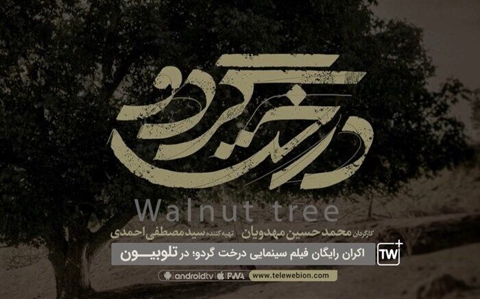 اکران درخت گردو از تلوبیون پلاس