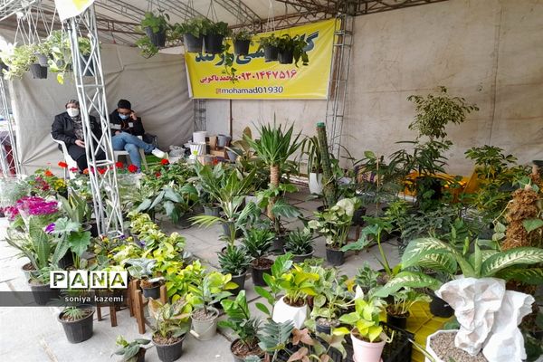 برپایی نمایشگاه ملی صنایع‌دستی و سوغات استان‌ها در مازندران