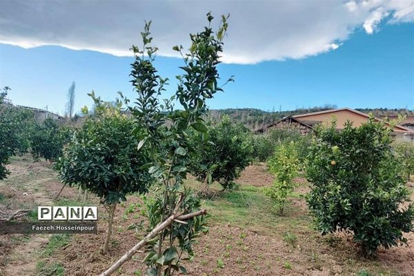 ردای سبز طبیعت در نوروز